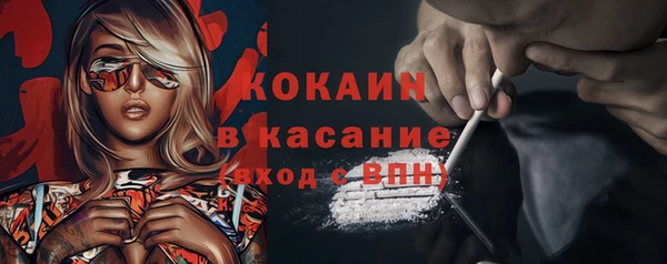 крисы Киренск