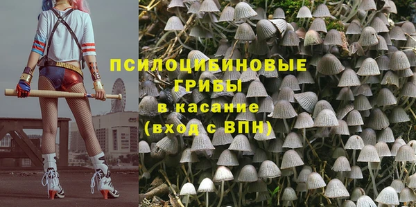 альфа пвп Киреевск
